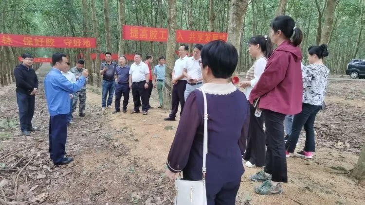 全国割胶冠军张健给各单位学员做标准化胶园建设及割胶技术的经验介绍。.jpg